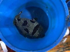 -蓝湾碧波·老字号·疍家非遗海上餐厅