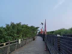 -开封城墙景区