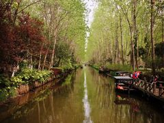 -合肥滨湖国家森林公园