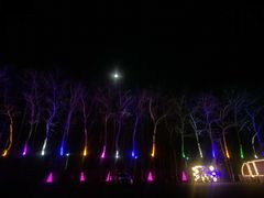 -枫花园汽车电影院(朝阳公园店)