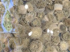 -隐厨·海鲜餐厅(恒通路店)