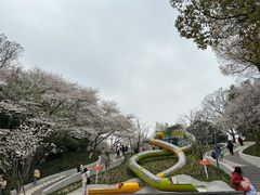 -杭州少年儿童公园