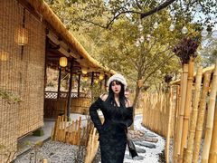 -宁波五龙潭景区