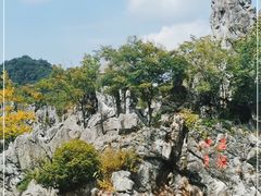 -千岛湖石林