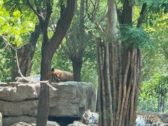 -秦皇岛野生动物园