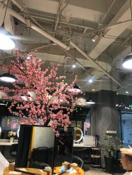 -时尚殿堂明星门店