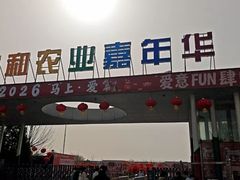 -南和农业嘉年华