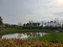 -春花秋色城市公园