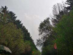 -黑龙江省森林植物园