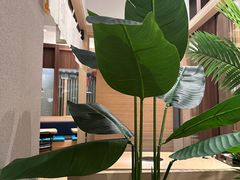 -沼津港精致料理·寿喜烧·烧鸟(漕河泾印象城店)