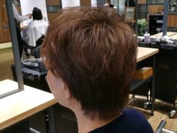 -Mentor Hair Salon