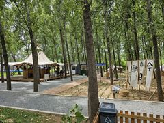 -森林小栈TreeStation露营基地