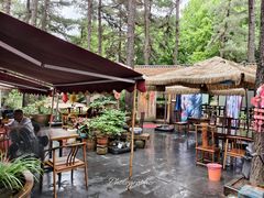 -小小饭店·休闲农庄·安吉松树林里的农家菜