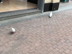 -王府井奥莱临潼小镇(临潼店)
