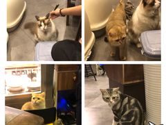 -咖法森林·咖啡  酒吧(天河店)