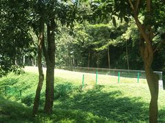-火炉山森林公园
