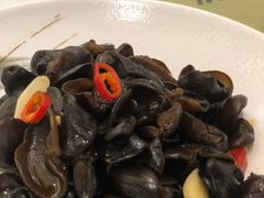 -骏莱海鲜鱼港(五角场店)