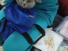 -瑞派天宁宠物医院·猫科·异宠中心