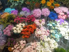 -双季花艺园艺市场(浦东店)