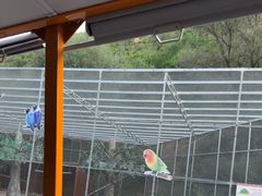 -桑干河大峡谷旅游区