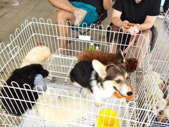 -长春农业博览园