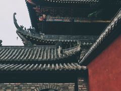春天-石经寺