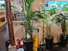 -疆牛出栏·潮汕牛肉火锅(德汇万达店)