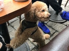 -边渡咖啡烘焙店(昙华林店)
