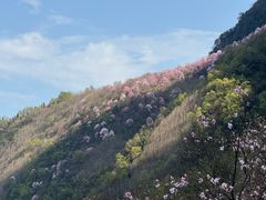 -九皇山景区