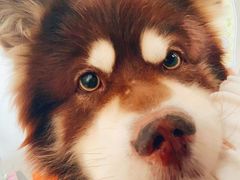 -东四胡同·四宝牛杂面(经开六区店)