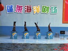 -蓬莱欧乐堡海洋极地世界