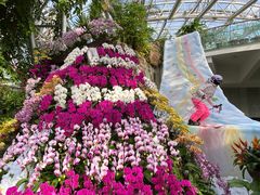 -北京植物园-展览温室
