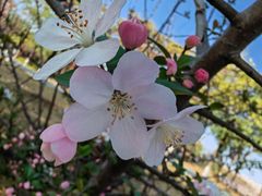 -眉山湿地公园(东坡区)