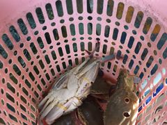 -三亚相缘海鲜·烧烤·糟粕醋(三亚湾店)