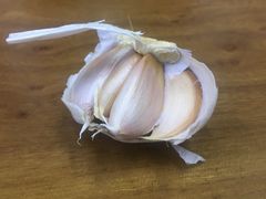 -回坊马二饺子馆