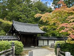-西芳寺(苔寺)