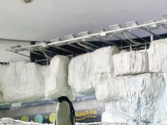 -珠海长隆海洋王国