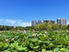 -太阳宫公园