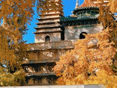 -北京石刻艺术博物馆(五塔寺)