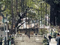 -小洲村