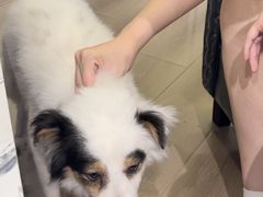 -NRG健身私教CLUB(打浦桥店)