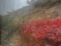 -苏木山森林公园