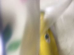 -百果园(东莞新世纪明上居2店)