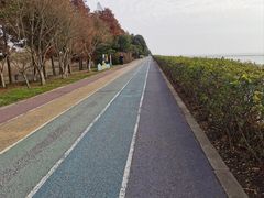 -贡湖湾湿地公园
