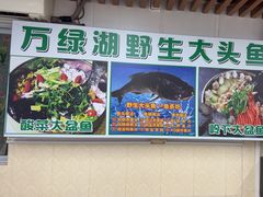 -岭下农庄·农家菜·野生大头鱼·公司团建(福永凤凰山店)