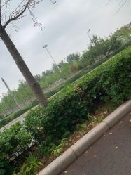 -HEYAN长风荷妍专业脱毛美肤
