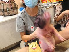-浣熊柯尔鸭土拨鼠·电玩咖