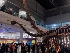 -自贡恐龙博物馆