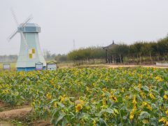 -武汉紫薇都市田园