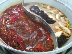 -青瓷火锅料理(西单大悦城店)